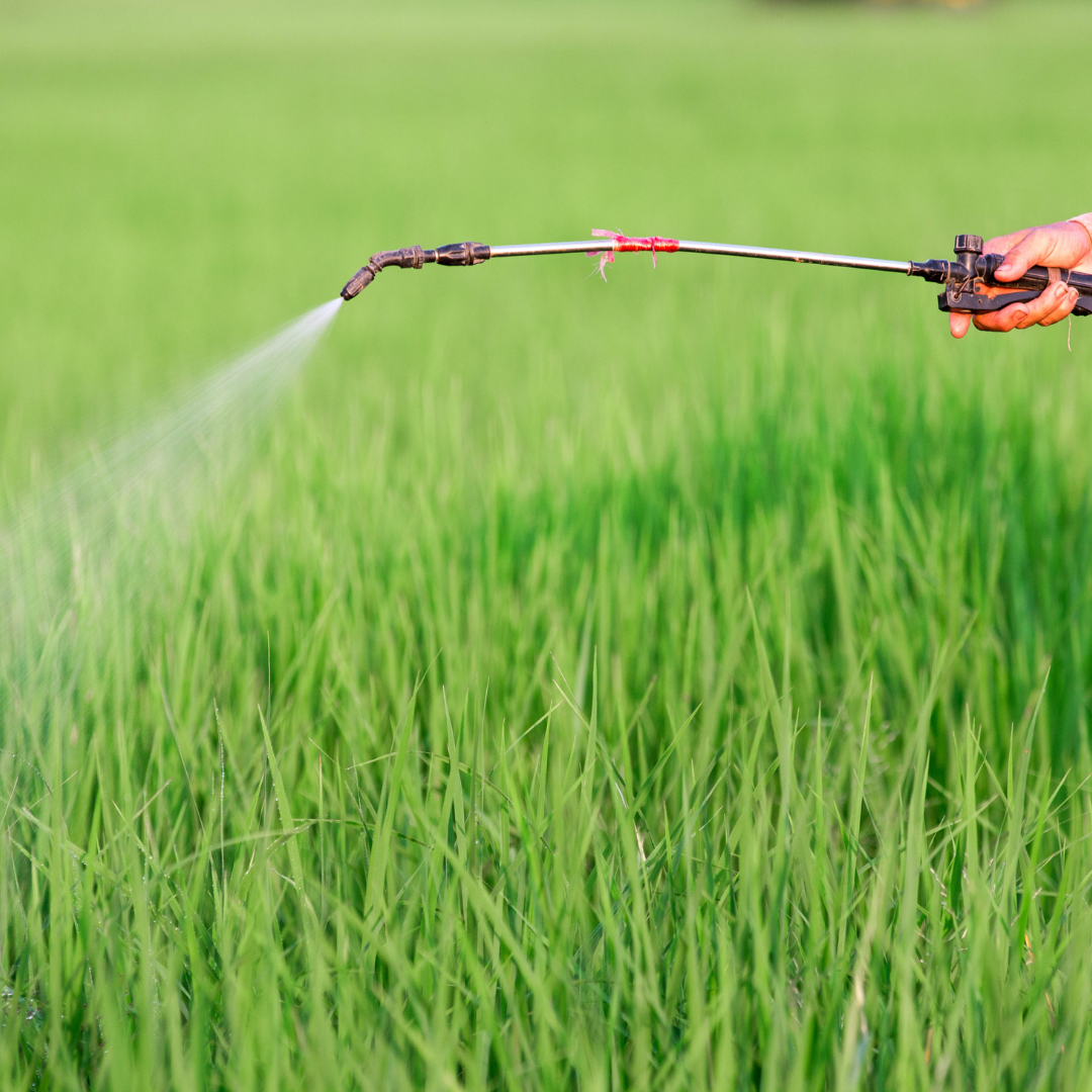 Spraying Pasture