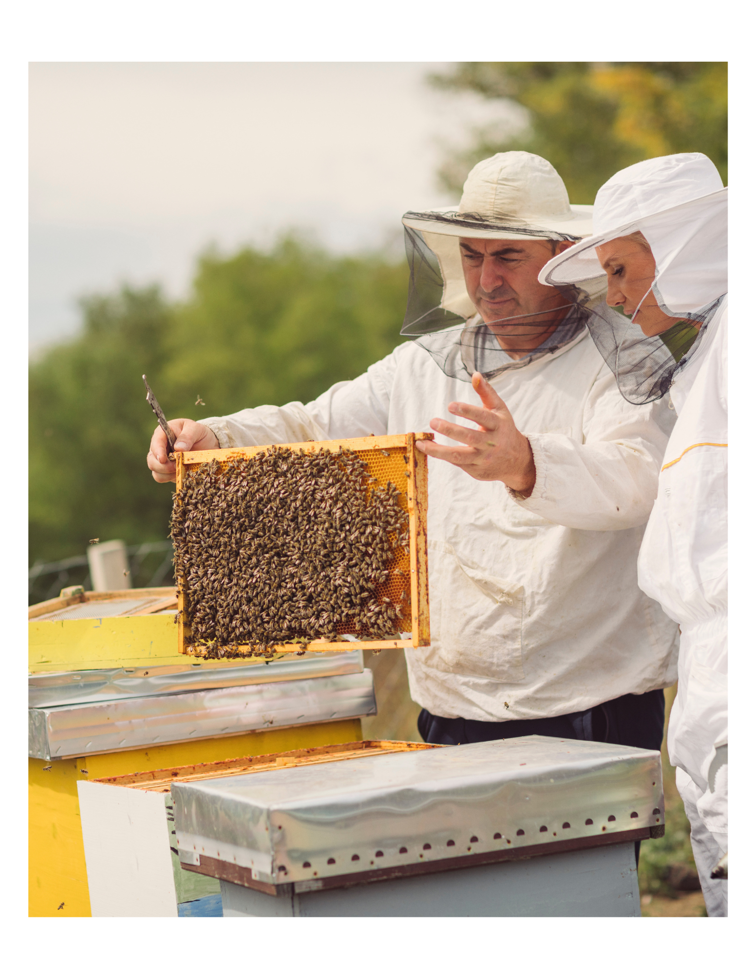 Beekeepers