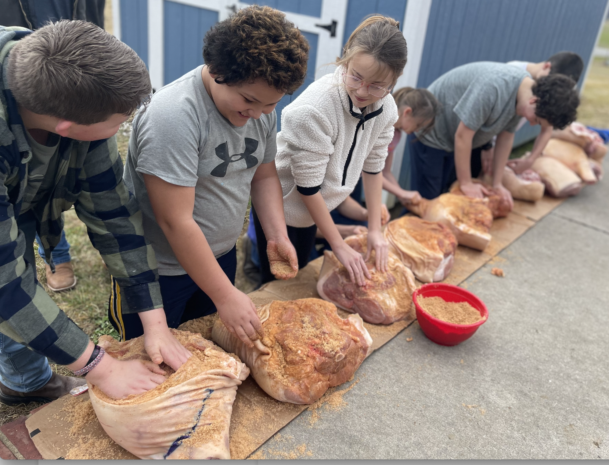 Curing Country hams 