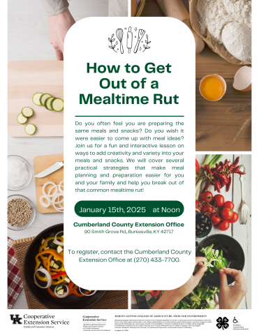 How to Get Out of a Mealtime Rut Flyer 