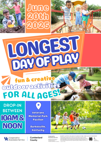 Longest Day of Play Flyer 