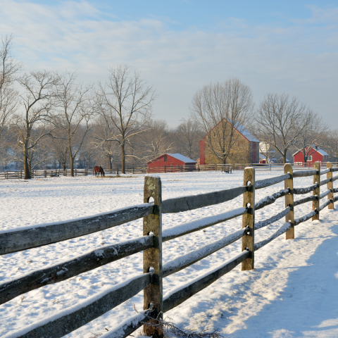 Farm with Snow 